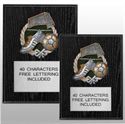 Picture of Resin Relief Activity / Sport Plaques