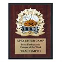 Picture of All Star Cherry Sport / Activity Plaques