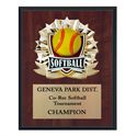 Picture of All Star Cherry Sport / Activity Plaques