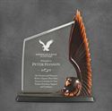 Picture of Modern Bronze Resin & Acrylic Eagle